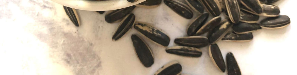 seed