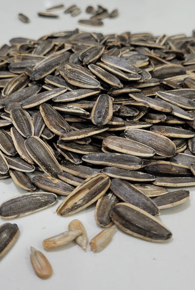 LOW SALTED SUNFLOWER SEEDS