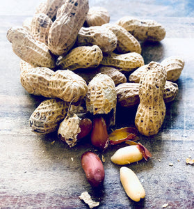 AUSTRALIAN UNSALTED ROASTED PEANUTS IN SHELL