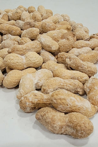 AUSTRALIAN SALTED ROASTED PEANUTS IN SHELL